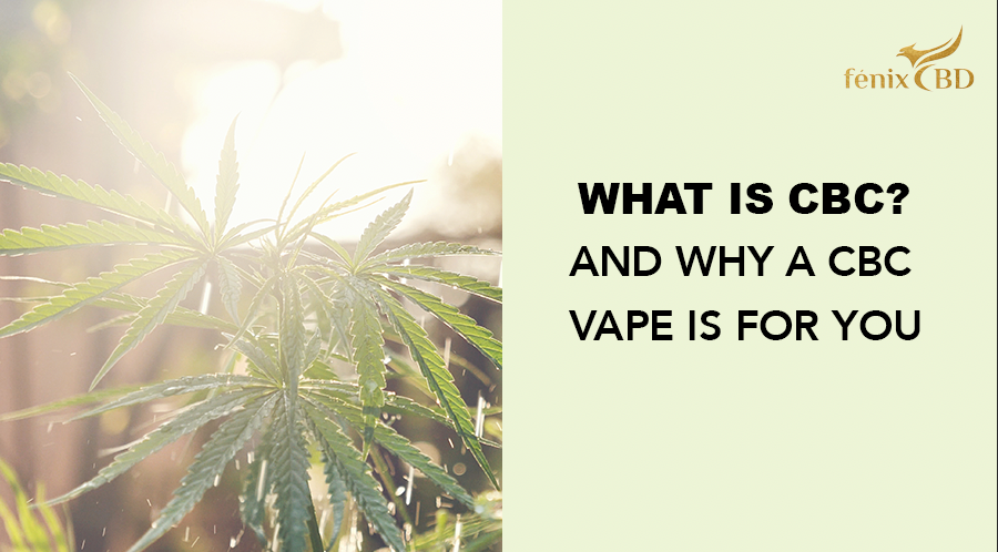 What is CBC? And Why A CBC Vape is For You! What is CBC? And Why A CBC Vape is For You!