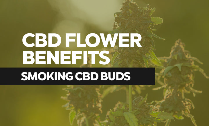 what are the cbd flower benefits